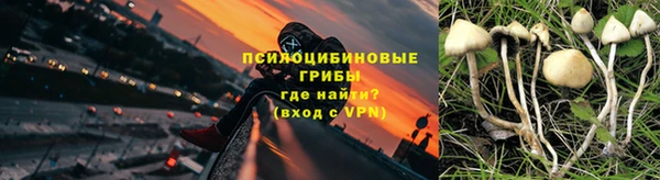 шишки Балахна