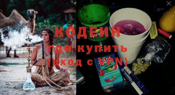 шишки Балахна