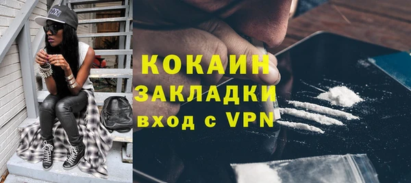 шишки Балахна