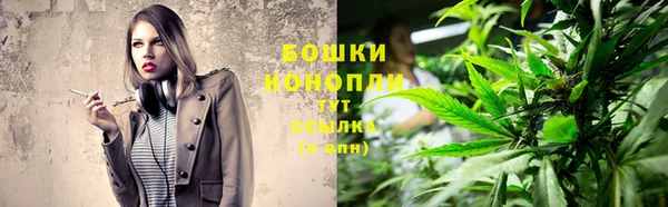 шишки Балахна