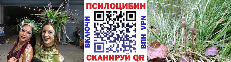 Псилоцибиновые грибы мицелий  KRAKEN ссылки  это официальный сайт  Шагонар 